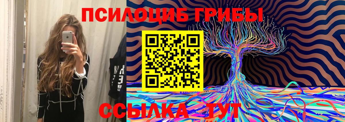 Малгобек  сколько стоит  Вход с VPN  Псилоцибиновые грибы прущие грибы 